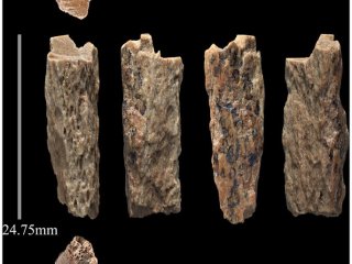 Как найти одну кость неандертальца среди двух тысяч фрагментов