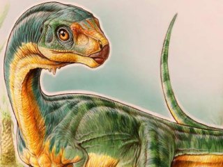 Странного динозавра-вегетерианца все же отнесли к птицетазовым