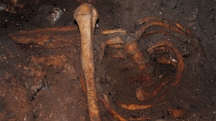 Получена древнейшая ДНК жителей Африки