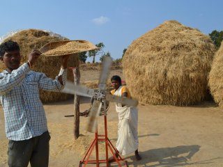 Просо вместо риса: как это поможет справиться с голодом и нехваткой пресной воды в Индии