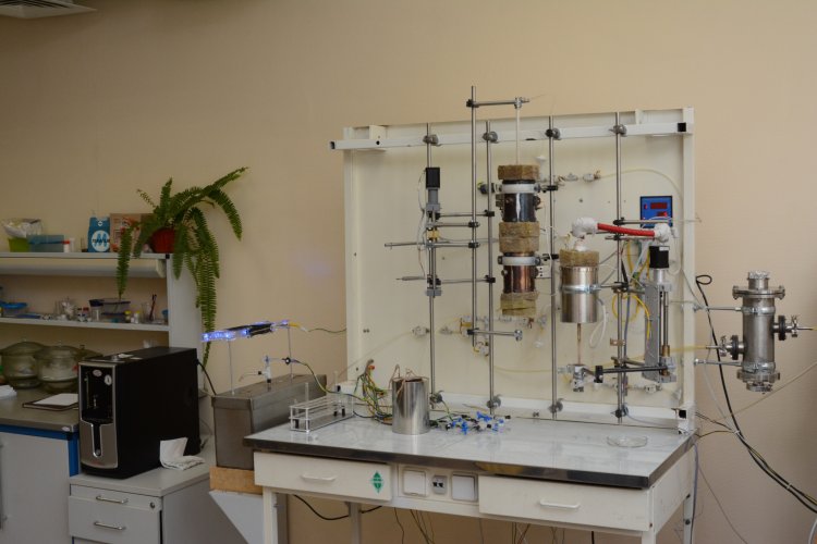 Фото: Надежда Дмитриева