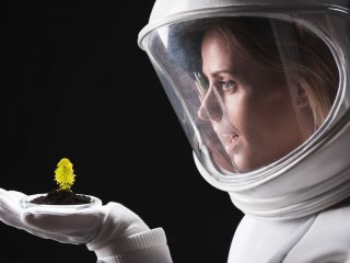 Разбить садик в космосе: ученые выясняют, как растения адаптируются к космической среде