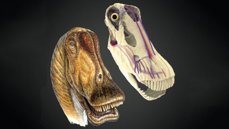 Большие динозавры сохраняли прохладу благодаря скоплениям кровеносных сосудов в их головах