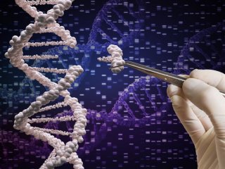 Система редактирования генов CRISPR-Cas9 показывает очень низкий риск ошибок