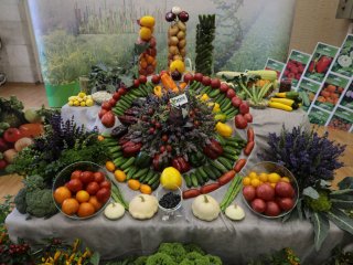Центр овощеводства ВНИИССОК отмечает юбилей!…