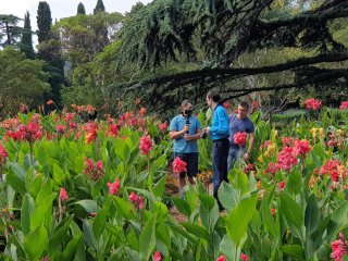 Выставка канн в Никитском саду – на пике цветения