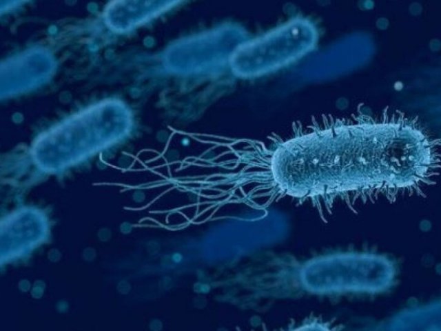 Бактерии в воде. Источник фото: Популярная механика