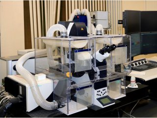 Конфокальный микроскоп Leica  — необходимый инструмент для исследований на клеточном уровне