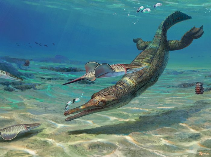 В Великобритании обнаружены останки древнего «морского крокодила» нового вида