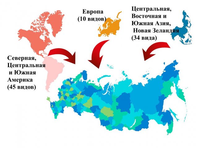 Источник: Варос Петросян