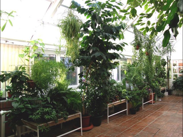 Осенние каникулы в Биомузее