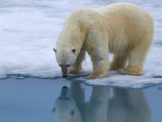 Источник фото: Вадим Балакин / GeoPhoto