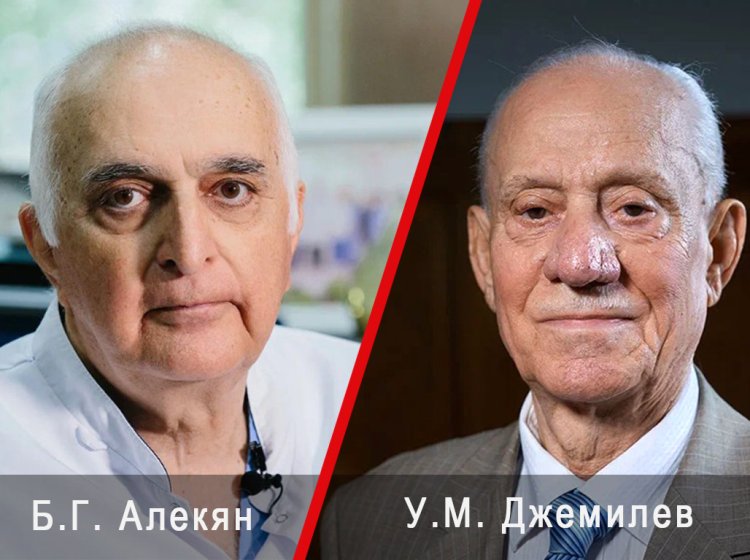 Автор Елена Либрик