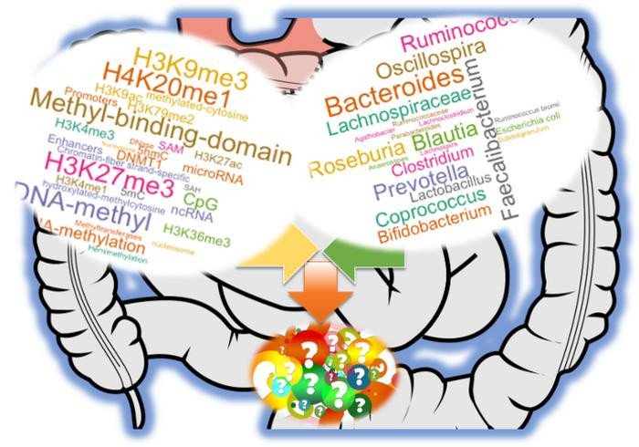 Гены формируют микробиом, а микробы влияют на регуляцию генов. Фото: International Journal of Molecular Sciences / Alika K. Maunakea