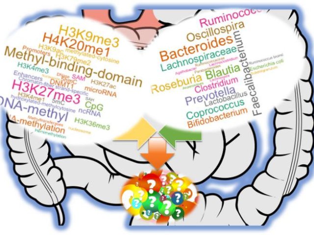 Гены формируют микробиом, а микробы влияют на регуляцию генов. Фото: International Journal of Molecular Sciences / Alika K. Maunakea