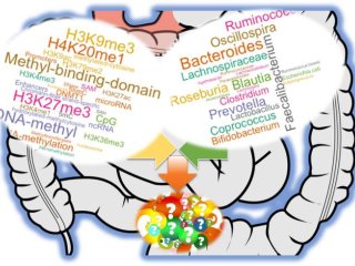 Гены формируют микробиом, а микробы влияют на регуляцию генов. Фото: International Journal of Molecular Sciences / Alika K. Maunakea