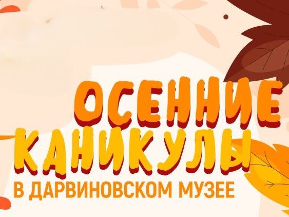 осенние школьные каникулы 2025