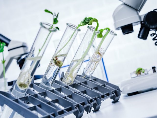 Источник фото: ru.123rf.com