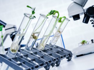 Источник фото: ru.123rf.com