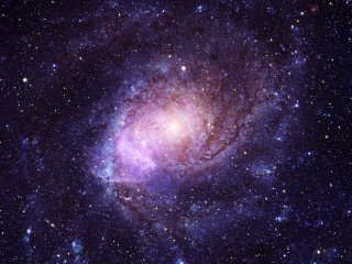 Фото: beautifulspace / 123RF