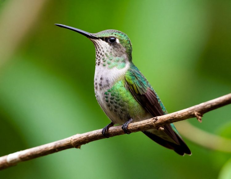 Фото: создано с помощью сервиса «Шедеврум»