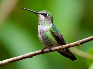 Фото: создано с помощью сервиса «Шедеврум»
