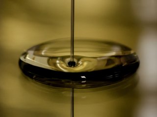 Источник фото: ru.123rf.com