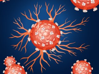 Передачу особых протеасом между опухолевыми клетками доказали с помощью флуоресценции. Источник изображения: brgfx / фотобанк Freepik (представлено в иллюстративных целях) 