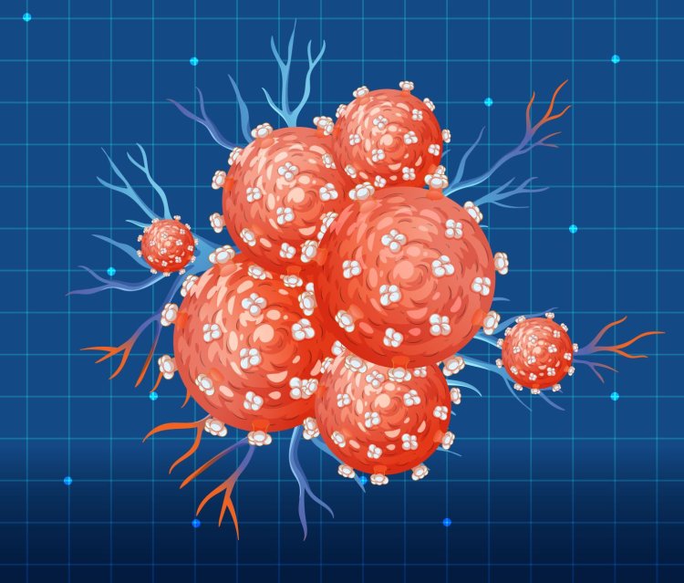 Изображение: Фотобанк Freepik