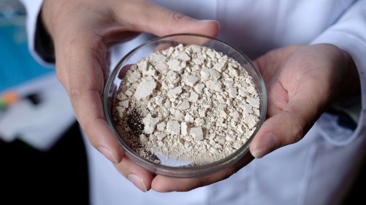 Образец арабиногалактана. Фото Анастасии Тамаровской / ФИЦ КНЦ СО РАН