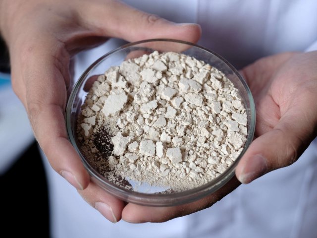 Образец арабиногалактана. Фото Анастасии Тамаровской / ФИЦ КНЦ СО РАН