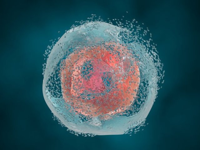 Источник фото: ru.123rf.com