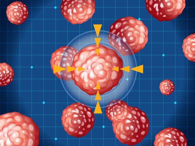 Разработан комплекс меди, убивающий раковые клетки. Фото: brgfx / Freepik.com