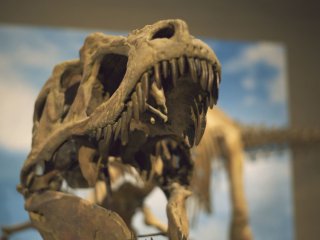 Изображение: Фотобанк Freepik