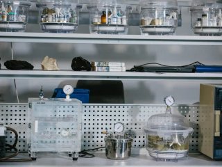 Фото Ольги Мерзляковой