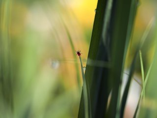 Источник фото: ru.123rf.com