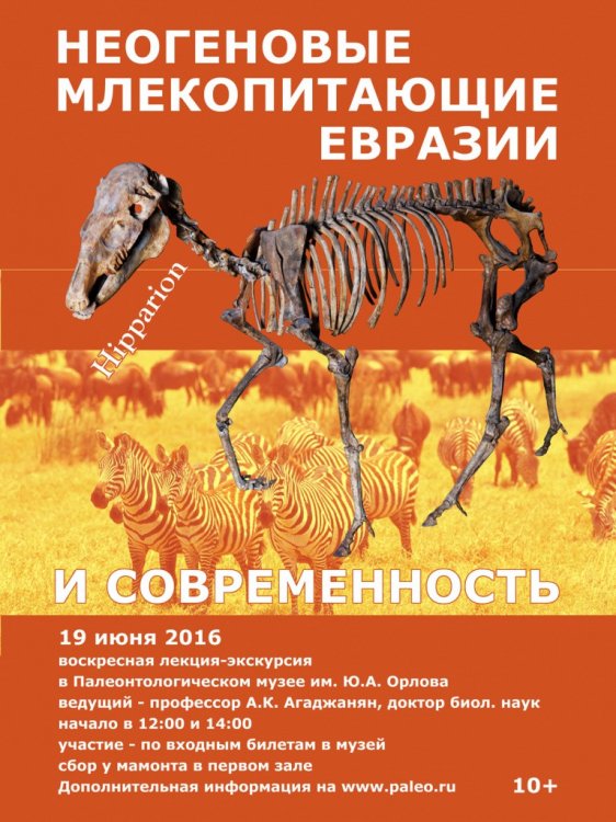 лекция-экскурсия «Неогеновые млекопитающие Евразии и современность»