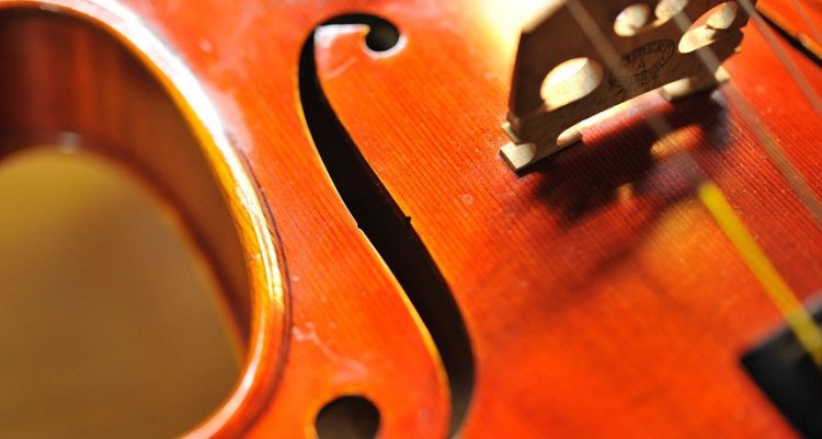 f-образные вырезы на скрипке влияют на звук