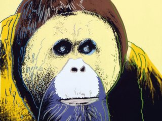 Выставка «Энди Уорхол. Вымирающие виды» в Дарвиновском музее с 18 марта