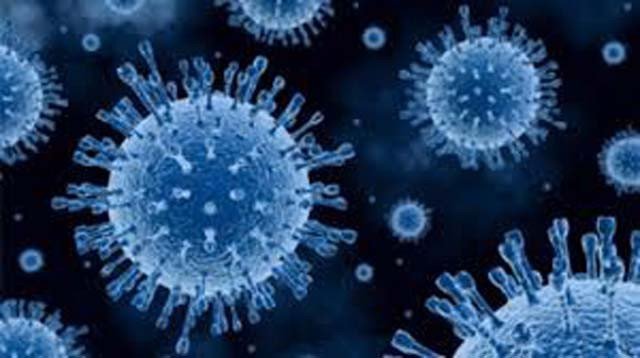 Почему важно продолжать исследования полиовируса