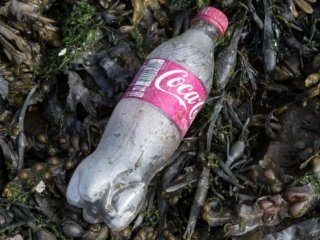 Более 40 крупных компаний подписали Британский Пакт о сокращении пластикового загрязнения
