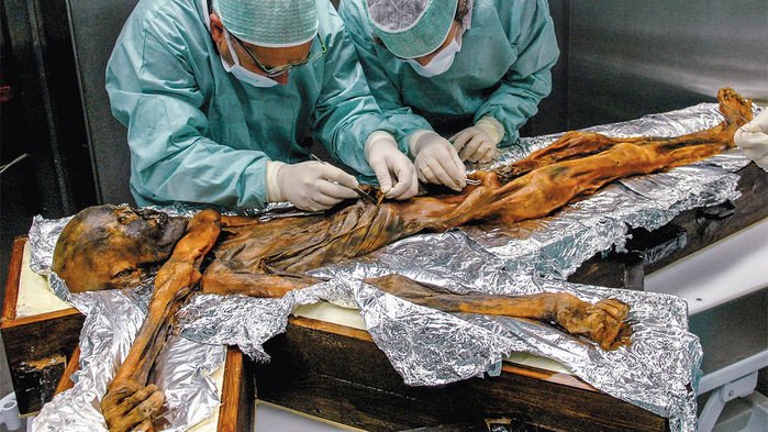 Ученые определили, из чего состоял последний обед «ледяного человека», умершего 5300 лет назад
