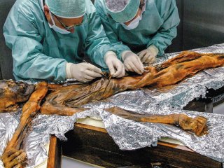 Ученые определили, из чего состоял последний обед «ледяного человека», умершего 5300 лет назад