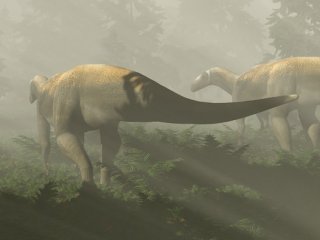 Динозавр из триасового периода, считавшийся хищником, оказался вегетарианцем