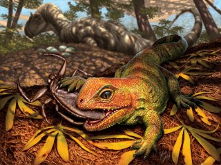 Палеонтологи США обнаружили вымершую рептилию, которая жила среди динозавров