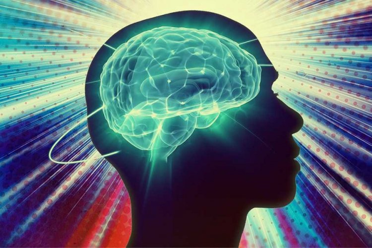 Облучая голову светом, можно контролировать активность мозга