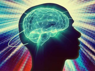Облучая голову светом, можно контролировать активность мозга