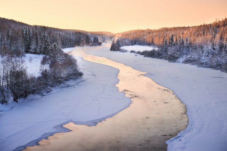 Ученые из Томска очистят от нефти приток реки в Коми по новой для России технологии
