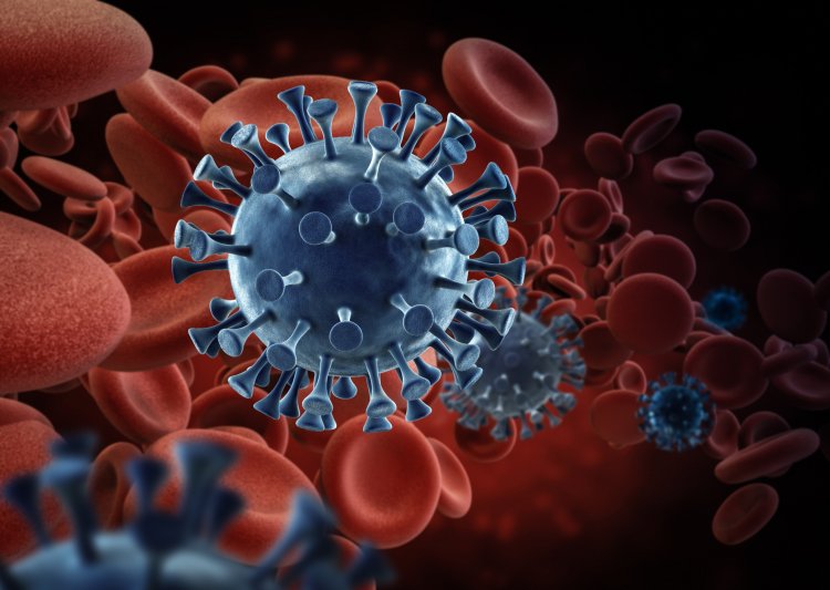 Химики разобрали новый коронавирус на молекулы