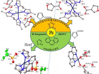 Молекулярные структуры комплексов палладия с противораковыми свойствами. Автор иллюстрации – к.х.н. Уварова Марина